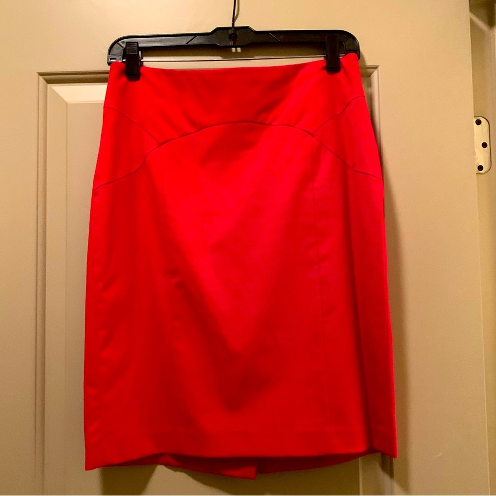 Red Lined Skirt